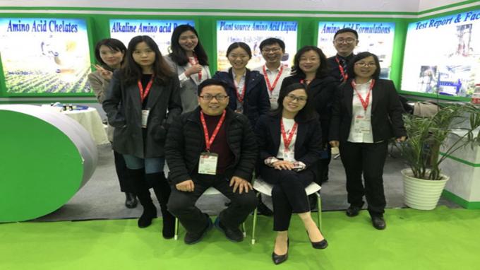 Ενζύματα ζωοτροφών Πεπτίδια Προβιοτικά για πρόβατα και βοοειδή 4