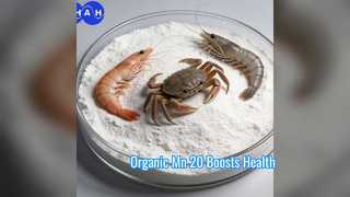 Πρόσθετο ζωοτροφών Boost Animal Health Organic Mn 20