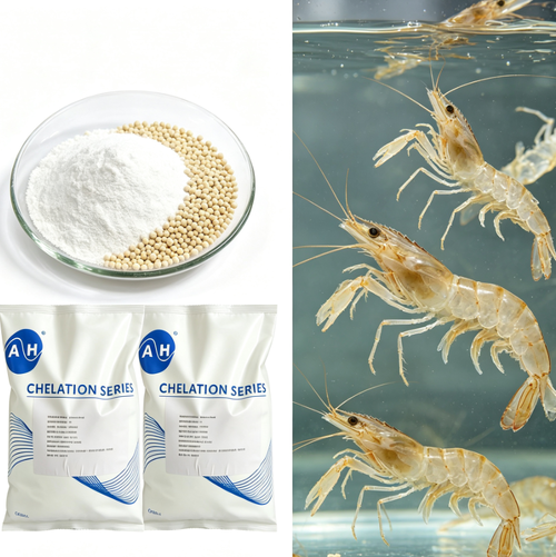 Latest company news about Διαχείριση απαιτήσεων για ιχνοστοιχεία στις ζωοτροφές υδατοκαλλιέργειας με οργανικές πηγές μαγνησίου